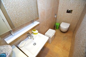 Classic Apartment, Mountain View | Bathroom | Shower, free toiletries, hair dryer, slippers