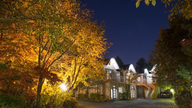 Ein Backsteinhaus mit steinverkleidetem Giebel und zahlreichen Fenstern, umgeben von Bäumen mit Herbstlaub.