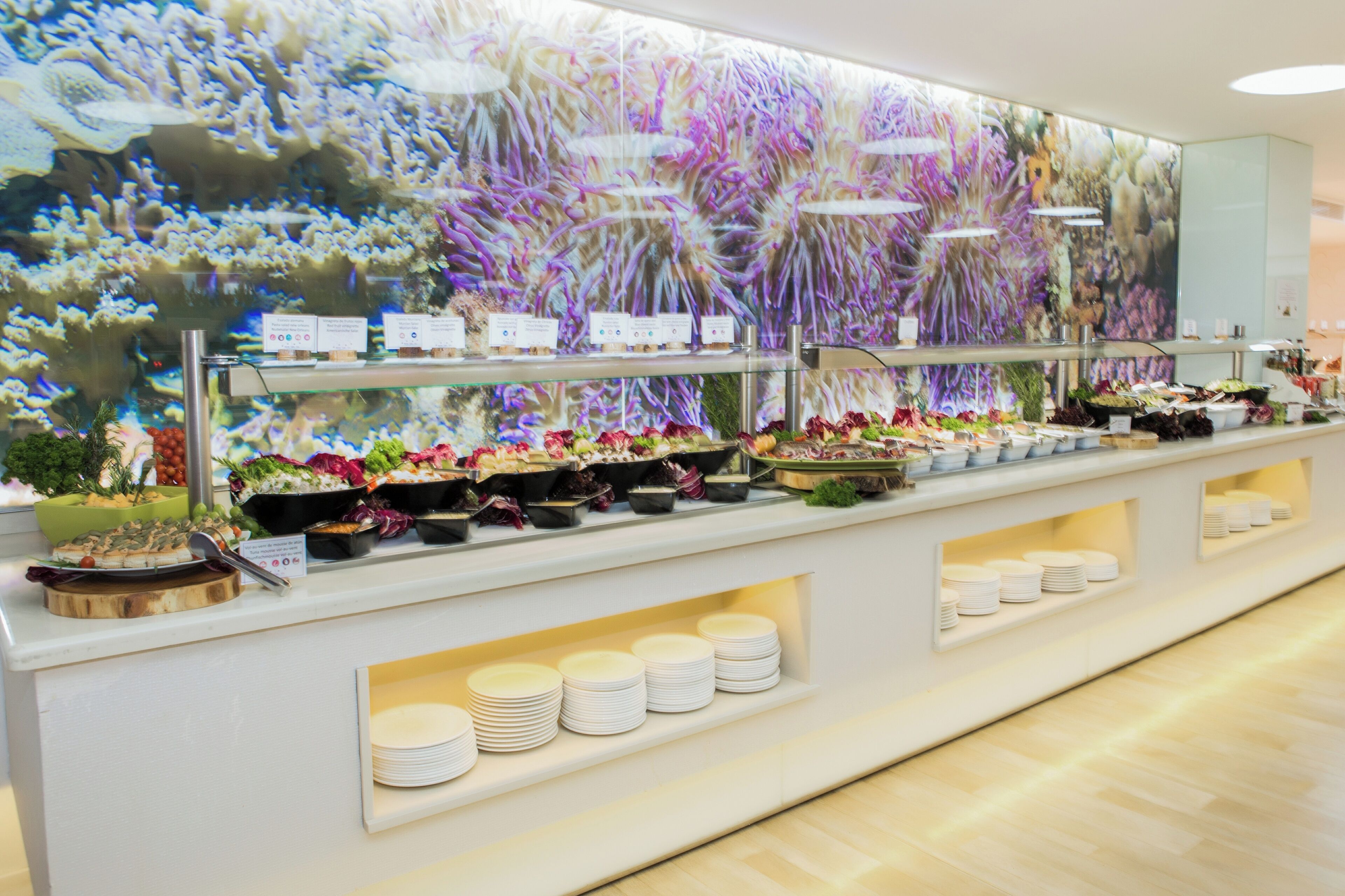 Photo - Hotel Bahia del Sol