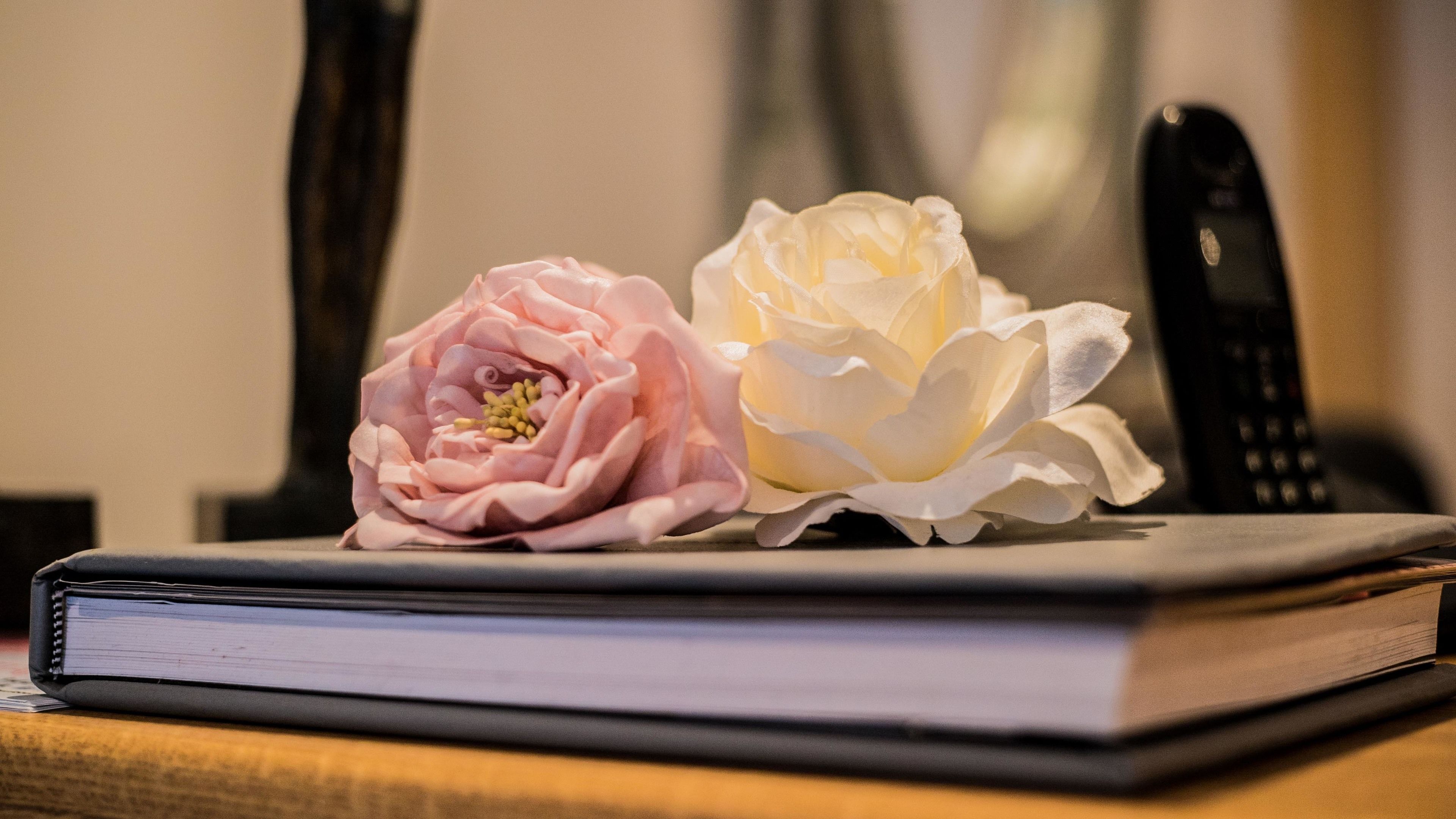 Un libro con dos flores encima, sobre una superficie con fondo desenfocado.