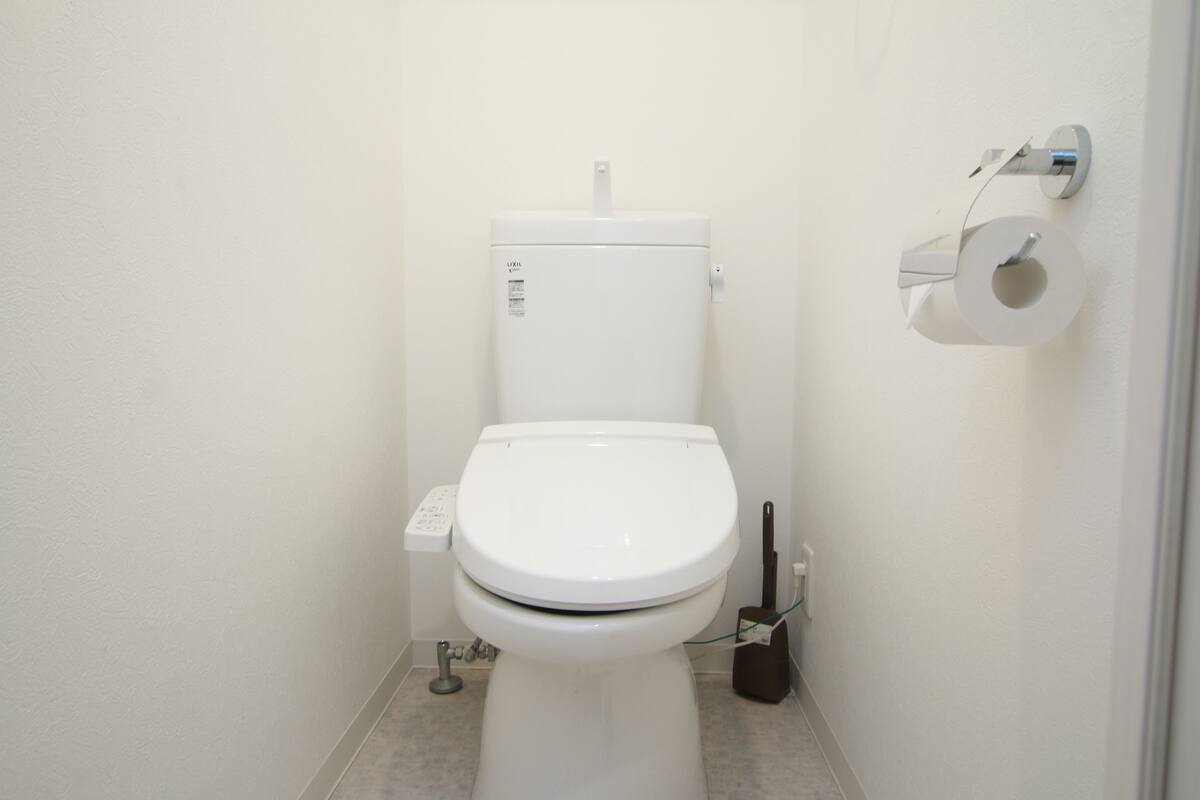 A white toilet with a flush handle, a toilet paper holder, and a bidet attachment.