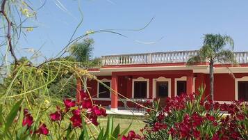 Facciata della struttura