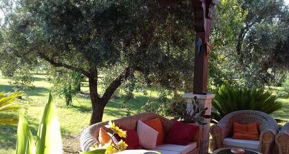 B&B Elda Salento