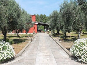 Courtyard - B&B Elda Salento (Tuglie)