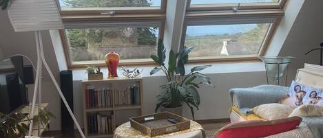 Télévision, livres, chaîne hi-fi