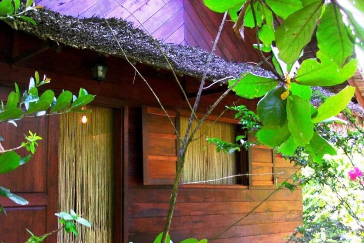 A wooden cabin with a thatched roof, a wooden door, and a window.