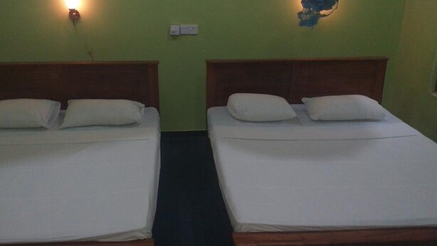 Dos camas individuales con cabeceros de madera y ropa de cama blanca en una habitación con paredes verdes.
