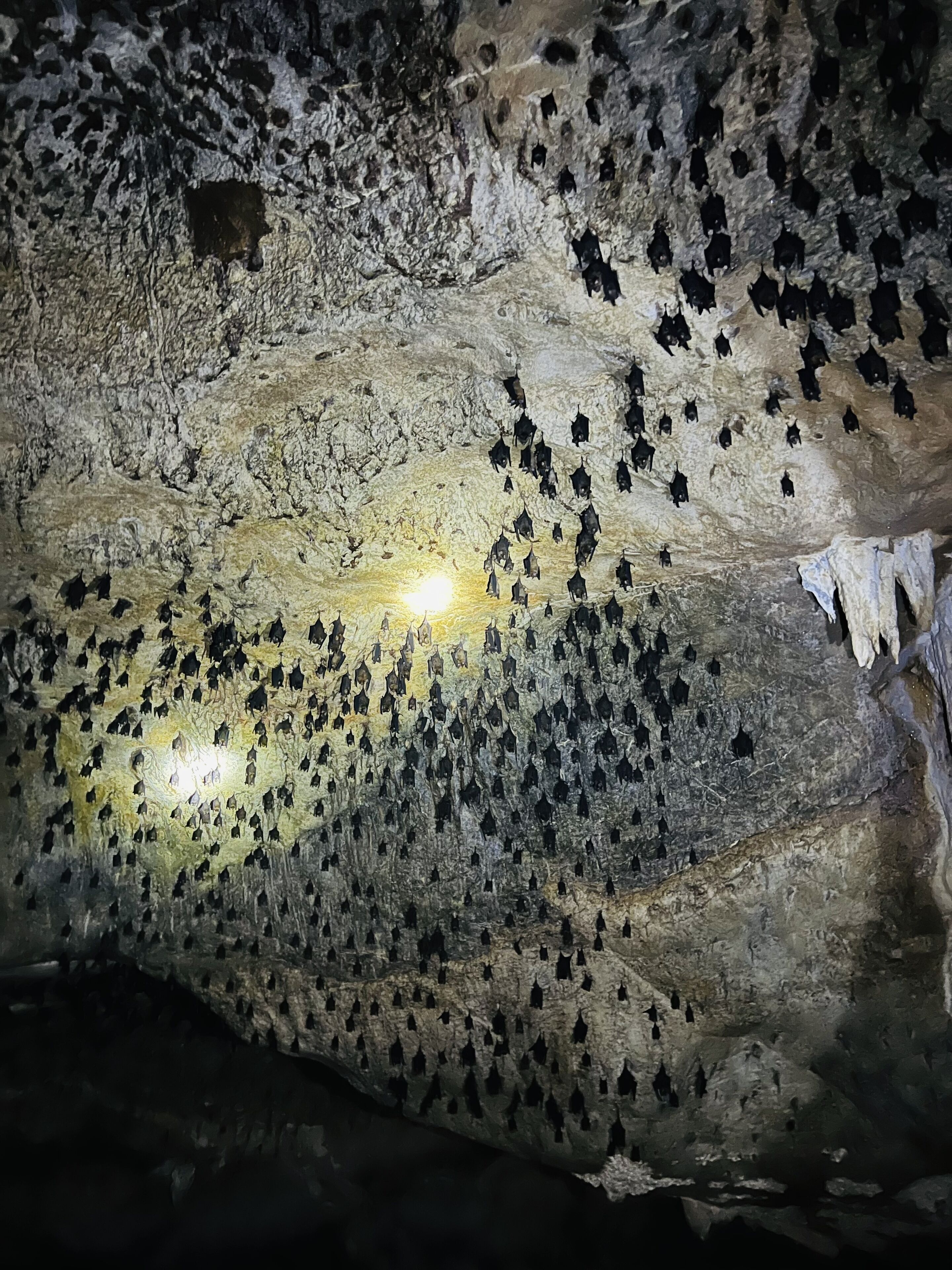 Photo - Sri Embun Resort Langkawi