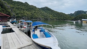Un muelle con varias embarcaciones amarradas, un embarcadero de madera y colinas verdes al fondo bajo un cielo nublado.