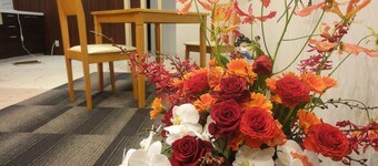 Guest House Oniya - Hostel