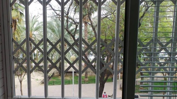 A view through a window with a metal lattice design, featuring a park with palm trees and a pathway. - Floor 180 meters downtown area (Valencia)
