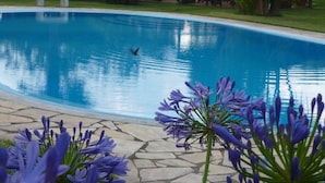 Ein Schwimmbecken mit Steinrand, umgeben von Gras und einigen violetten Blüten.