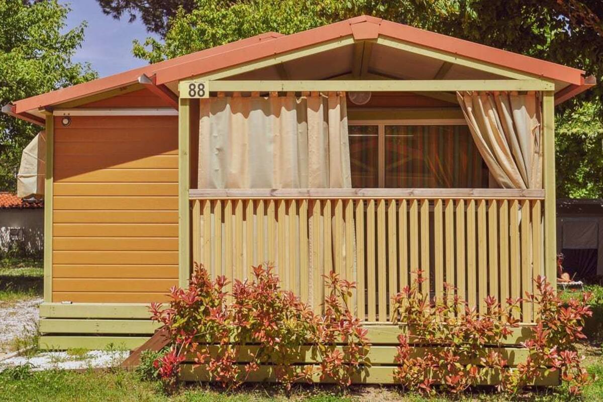 Une petite cabane en bois, avec le numéro « 88 » peint sur le côté, une fenêtre avec des rideaux et un petit jardin devant, où poussent des plantes aux feuilles rouges.