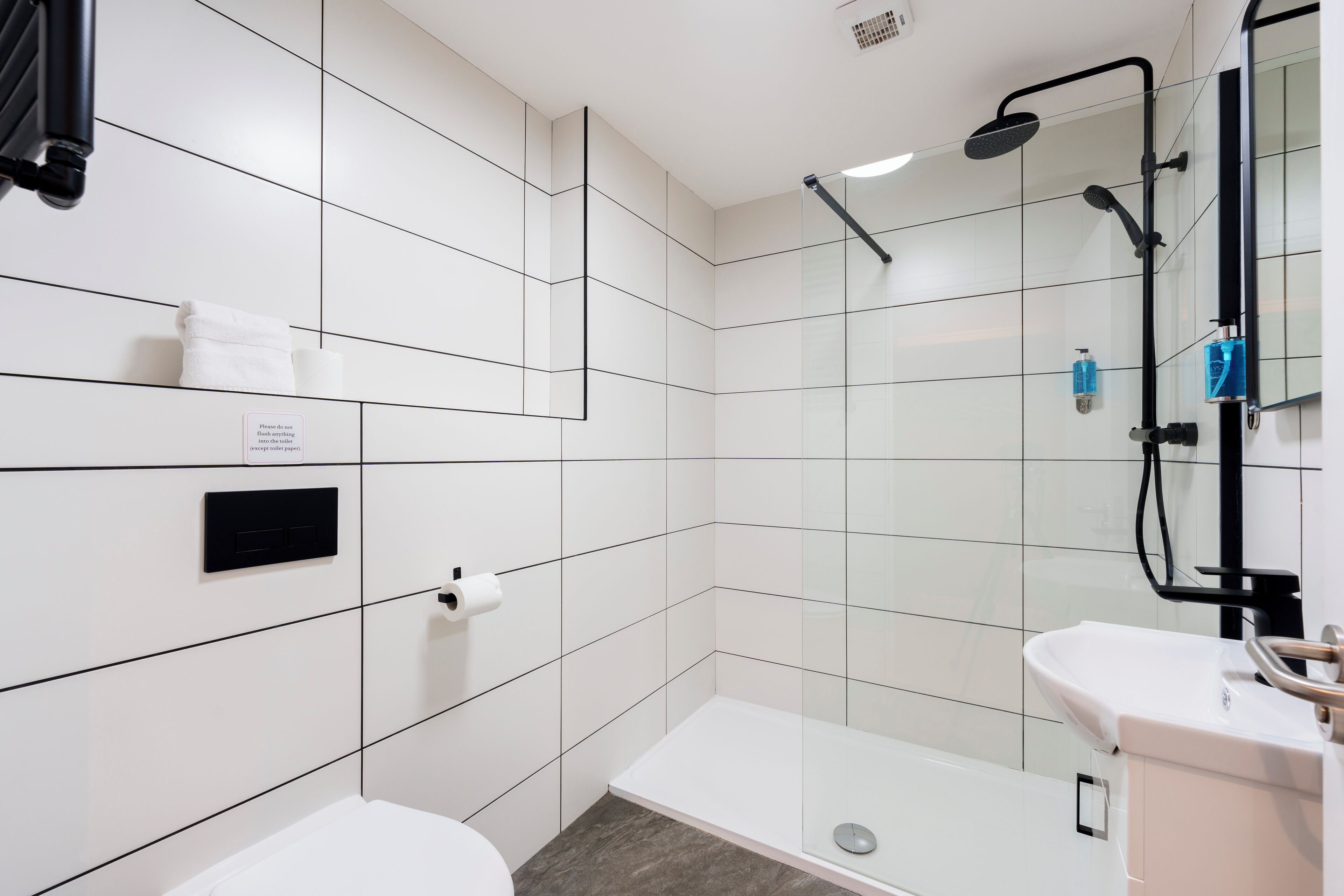 Photo - The Temple Bar Lane