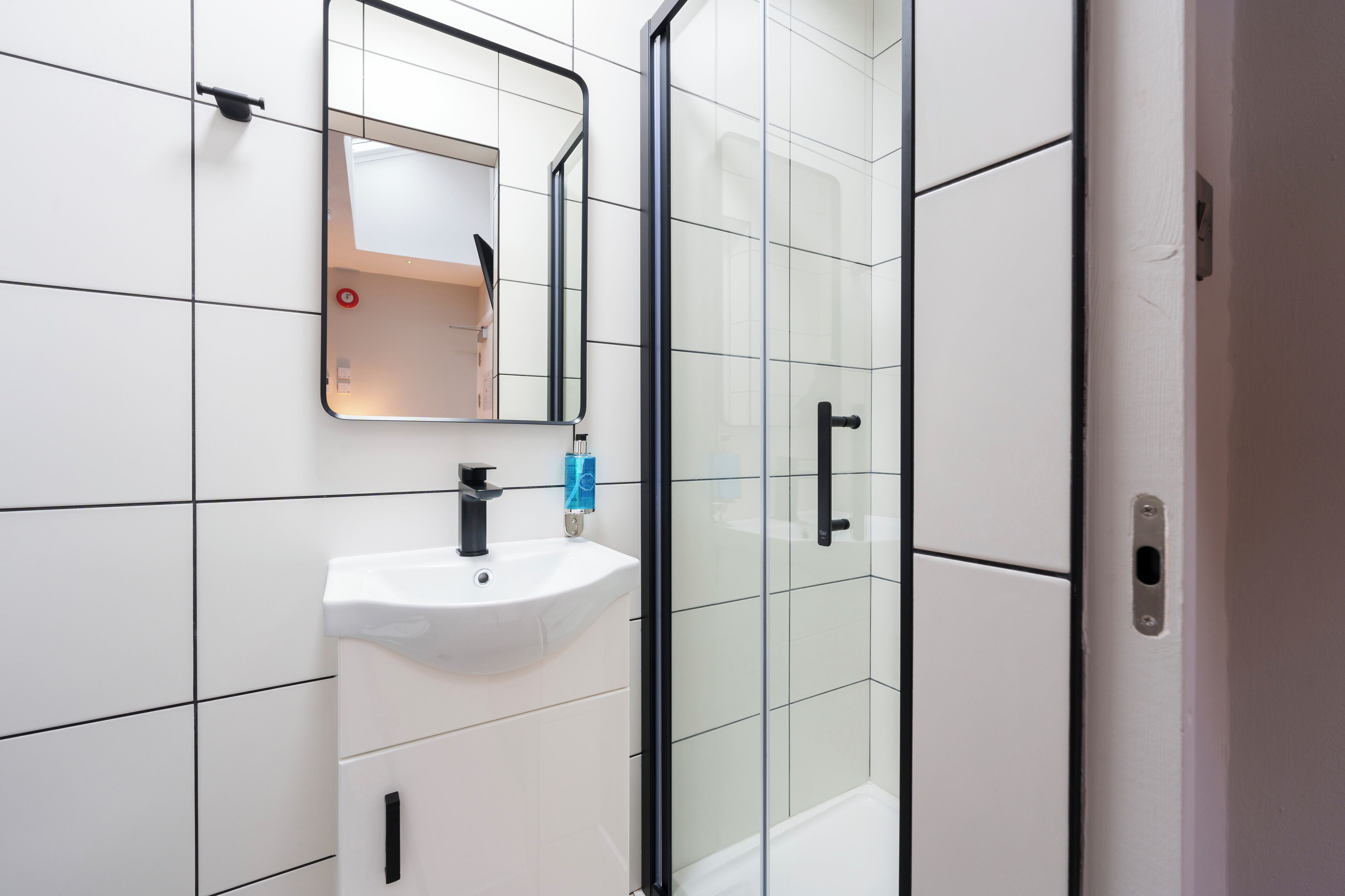 Photo - The Temple Bar Lane