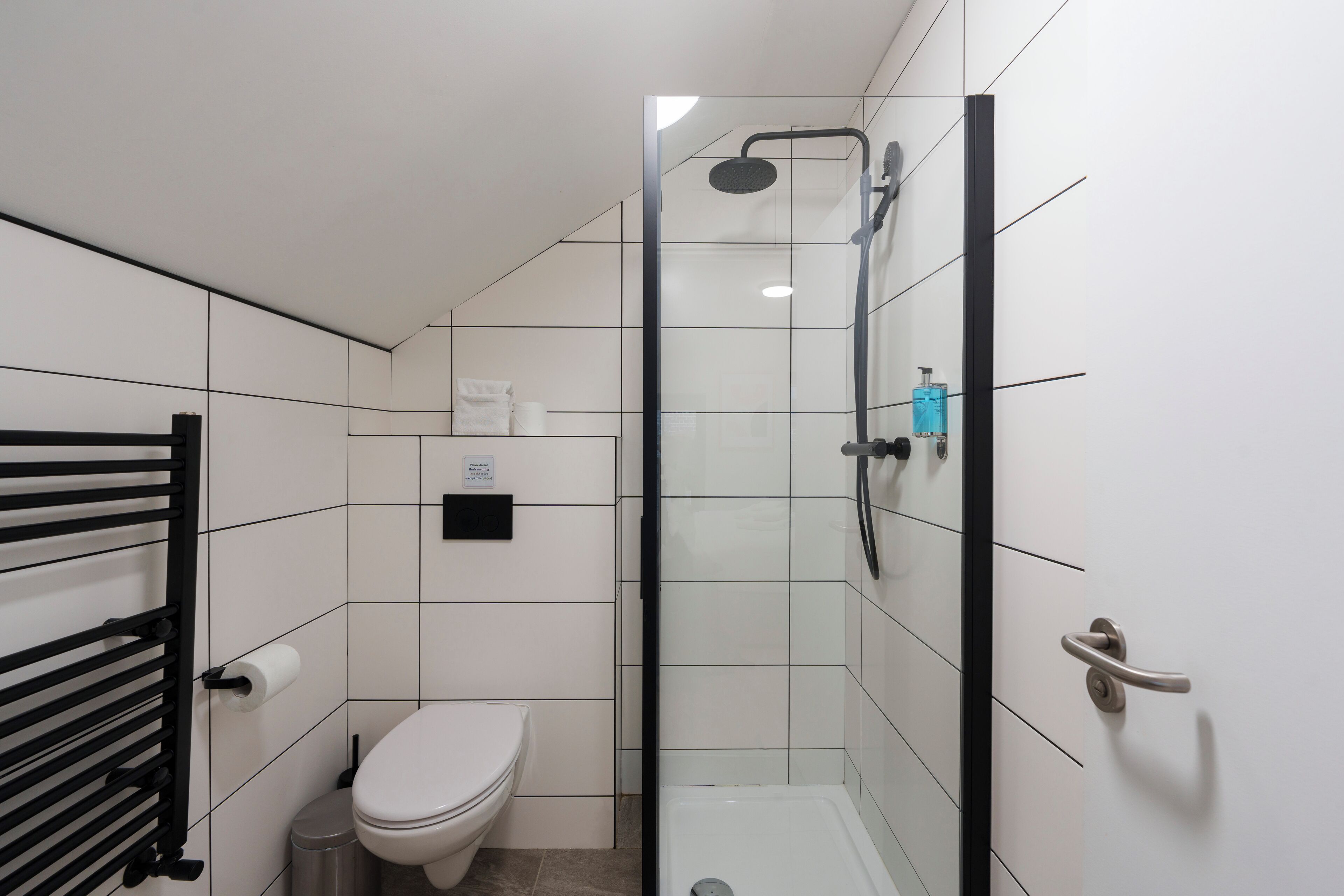 Photo - The Temple Bar Lane