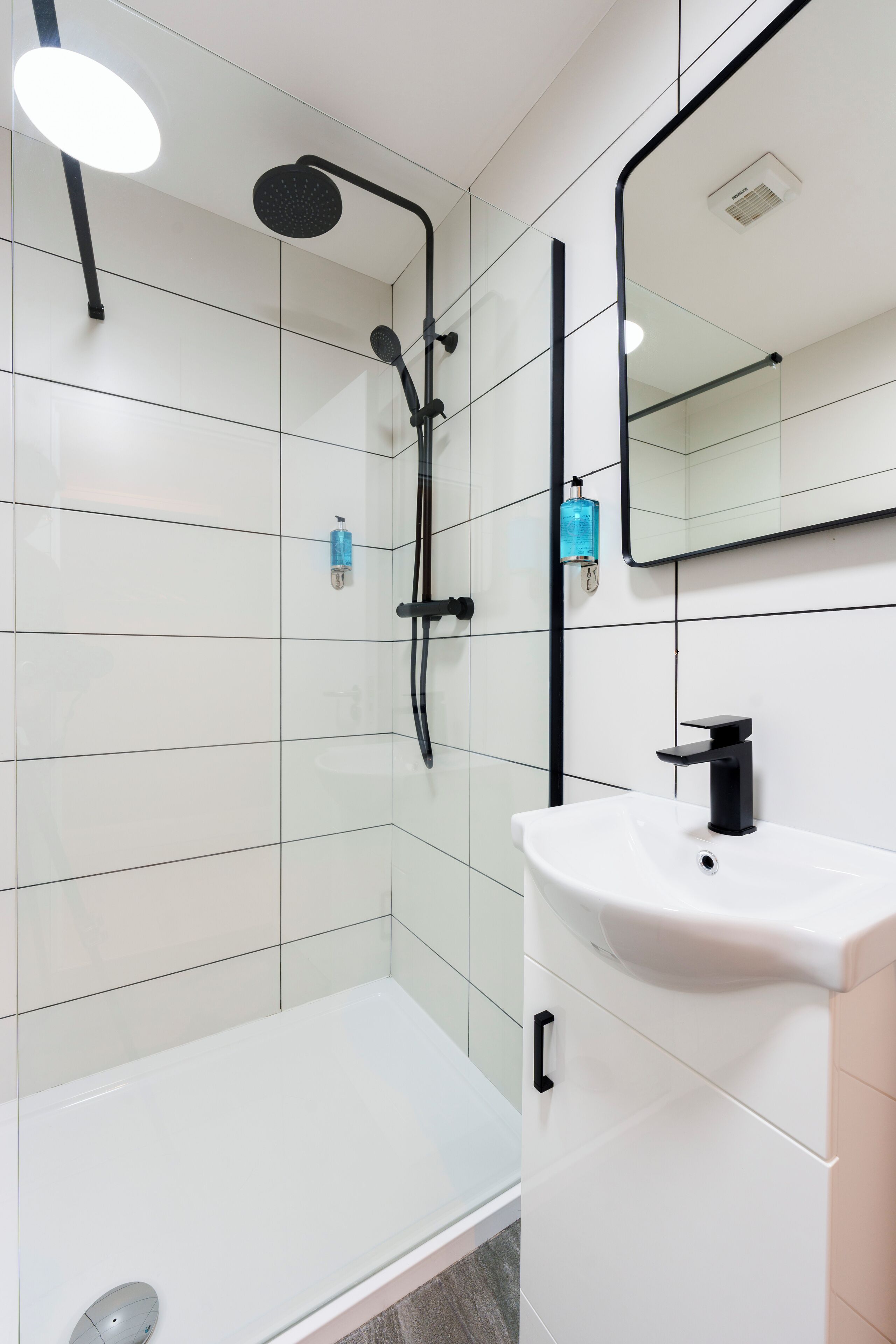 Photo - The Temple Bar Lane