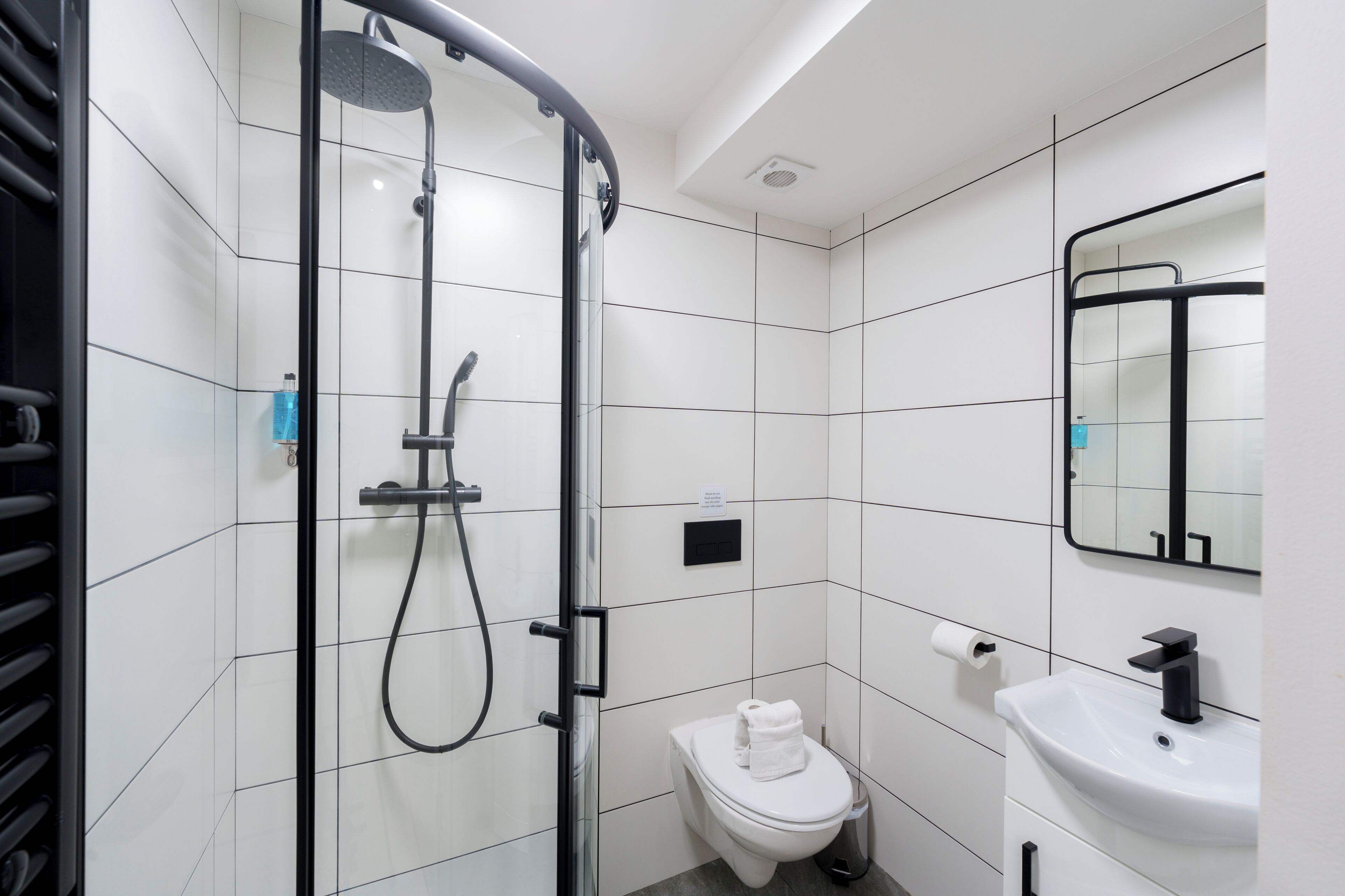 Photo - The Temple Bar Lane