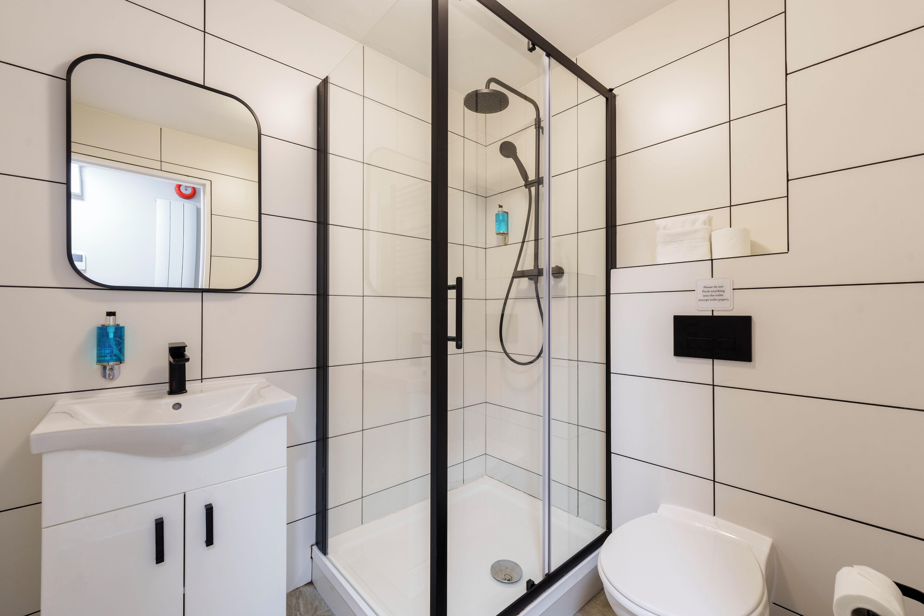 Photo - The Temple Bar Lane