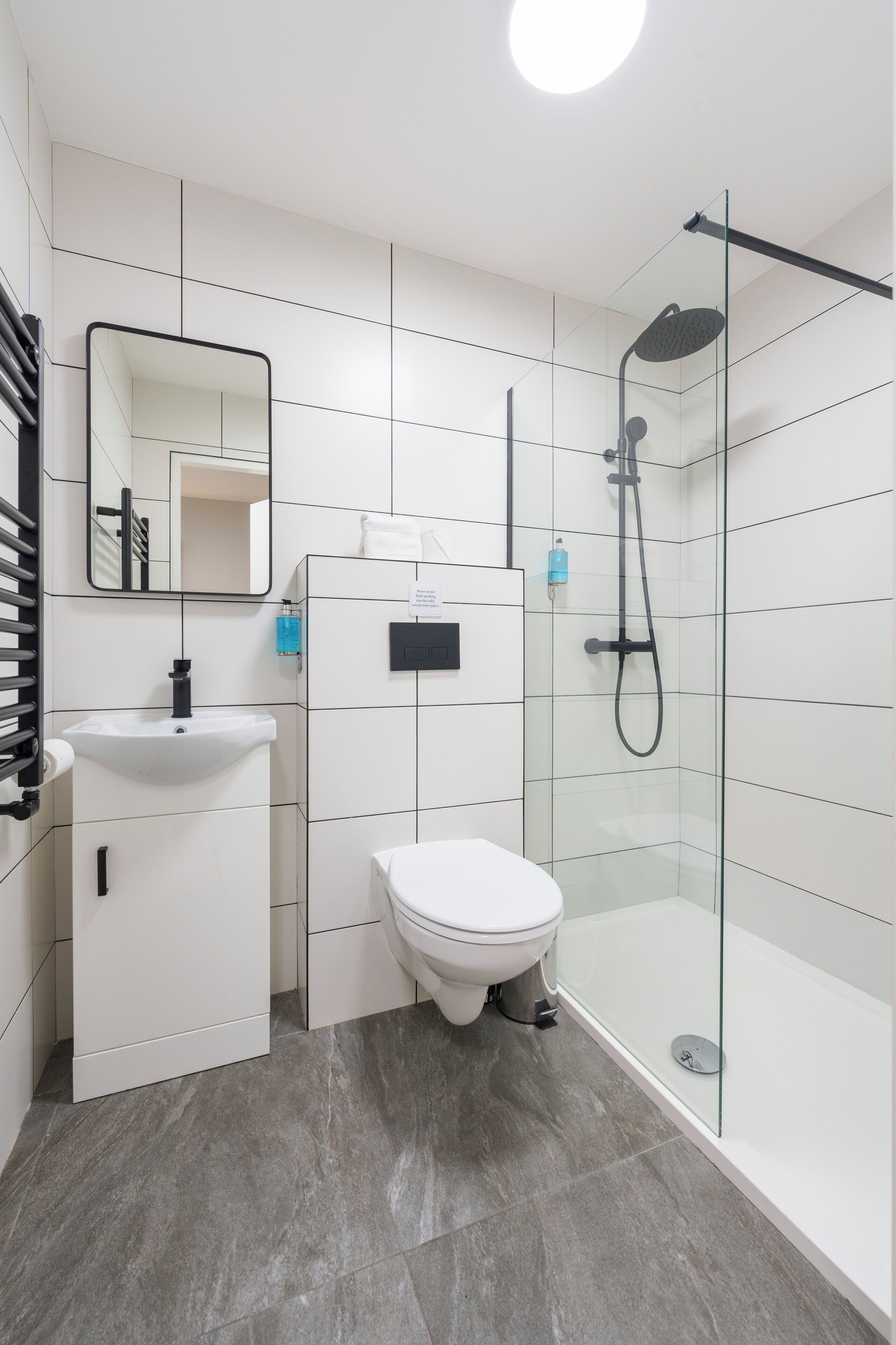 Photo - The Temple Bar Lane