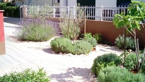A residential area with a gravel pathway, various shrubs, and a white fence. - Apartmani Marinović - Vodice (Vodice)