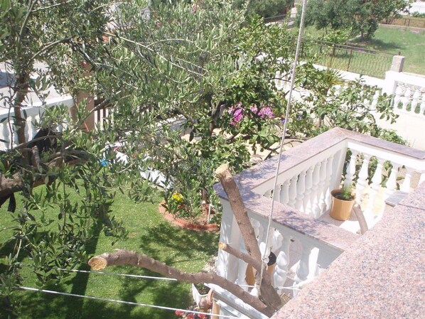 إطلالة على الحديقة