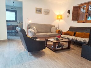 Smart TV, fireplace, books, video library