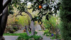 A garden pathway with stone tiles, surrounded by various plants and trees. - Casa Champasak, Alpujarra Granada, VTAR/GR/01097 (Las Barreras - Órgiva)