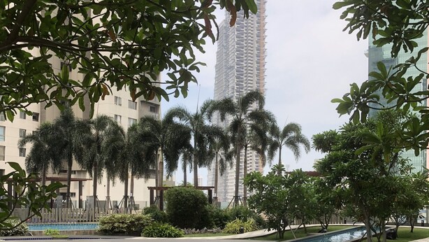 Un área ajardinada con piscina, palmeras y un rascacielos al fondo.