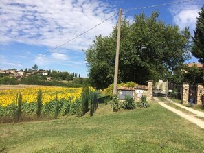 Property grounds - --- CASA DEL FATTORE --- (Monteriggioni)