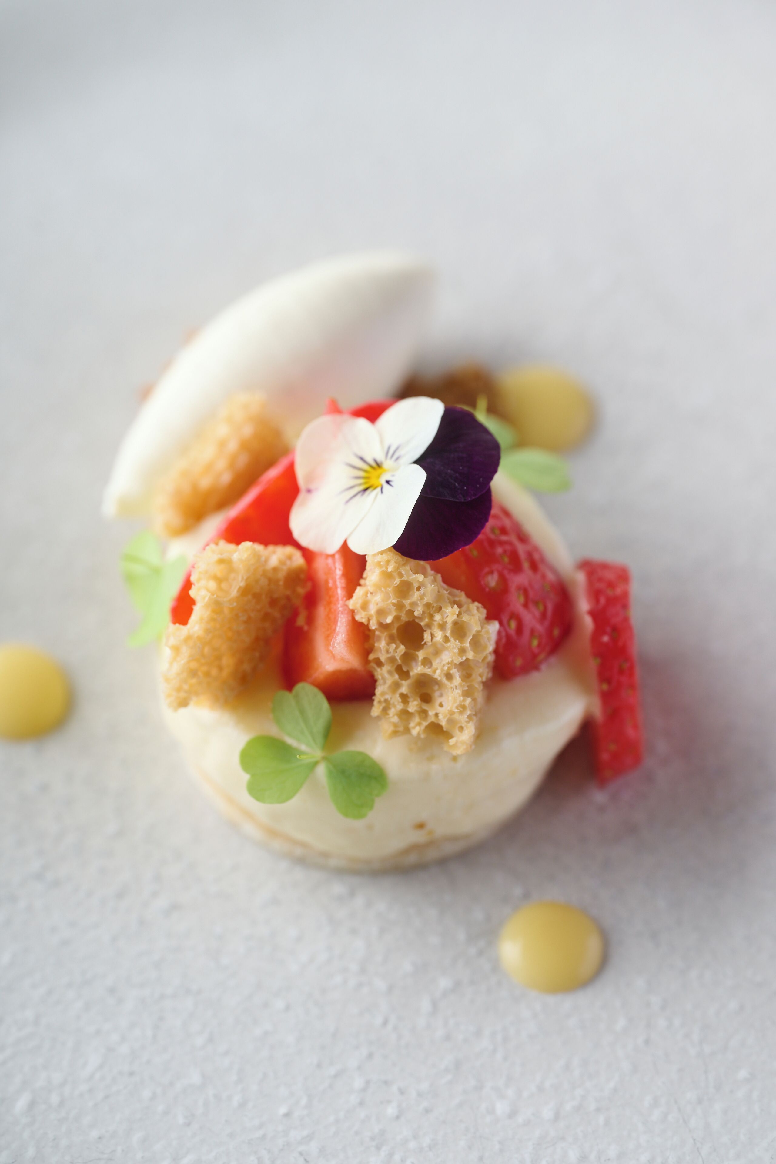 Un postre con fresas, una flor y una cúpula blanca sobre un plato.