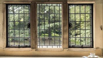 Una ventana con barrotes y vistas al verdor exterior.