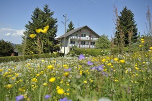 A house surrounded by a field of wildflowers. - Pension Fohrenberg (Wutach)