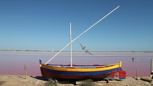 Un bote colorido con mástil y aparejo, amarrado en una masa de agua tranquila.