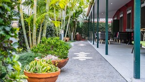 Terrace/patio - Quinta da tia Briosa, Casa da Avó (Ponta do Sol)