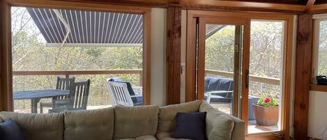 Smart TV, fireplace, books, music library