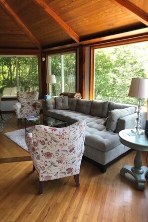 Smart TV, fireplace, books, music library