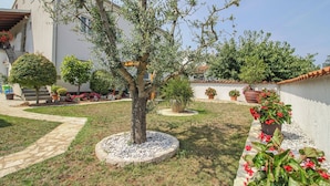 Ein Innenhof mit Baum, Topfpflanzen und einem gepflasterten Weg.