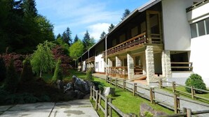 Duplex, Mountain View | Mountain view - Hotel & Restaurant Sofia (Sucevita)