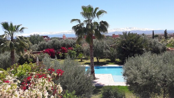 Una piscina al aire libre, sombrillas, sillones reclinables de piscina