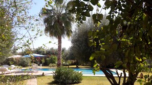 Una piscina al aire libre, sombrillas, sillones reclinables de piscina