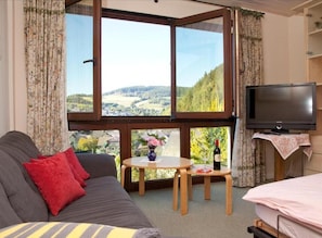 Flat-screen TV