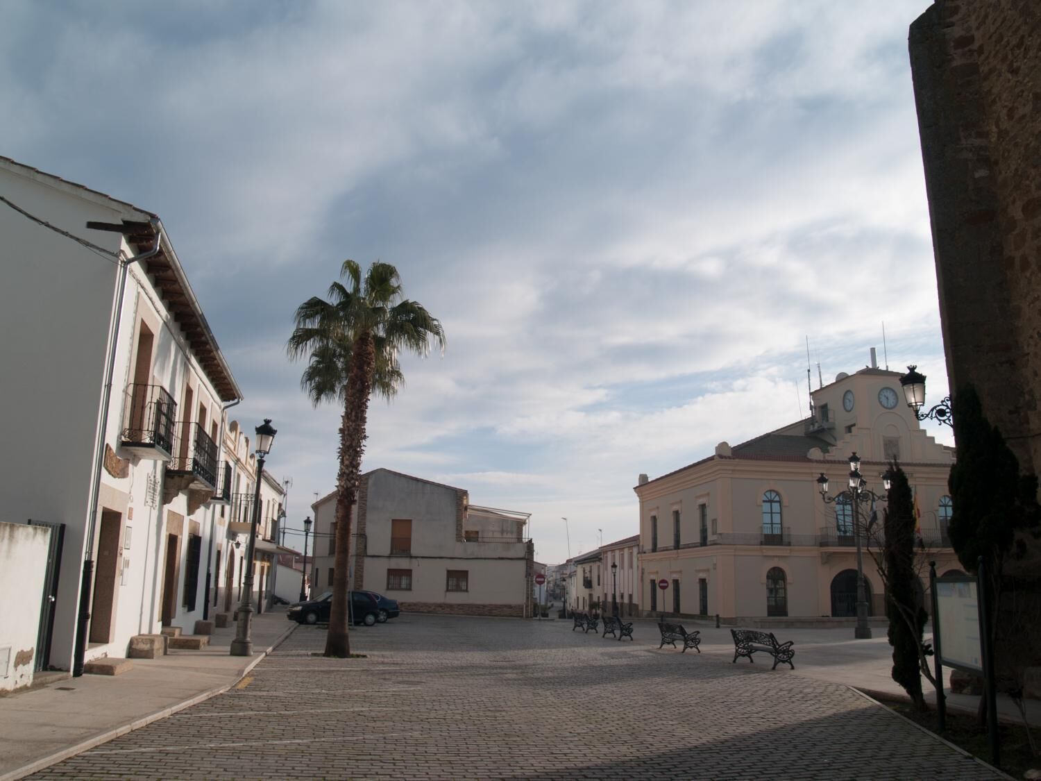 Un carrer empedrat flanquejat per edificis històrics, una palmera i algunes banquetes.