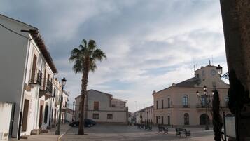 Un carrer empedrat flanquejat per edificis històrics, una palmera i algunes banquetes.