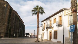 Una calle empedrada con edificios históricos, una palmera y un letrero de estacionamiento.