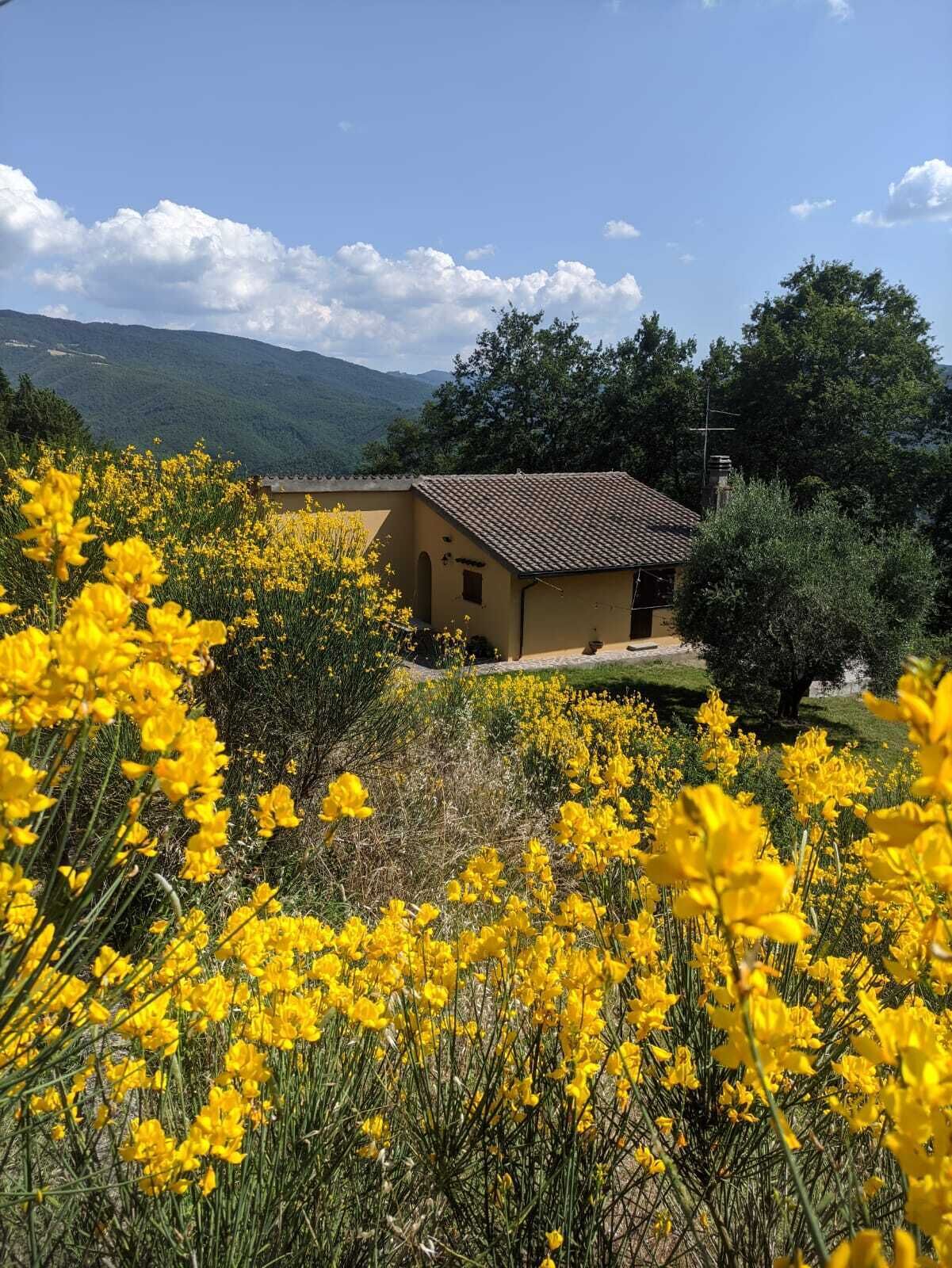 Quiet Country Villa Tuscany Hills 45 Minutes from Florence
