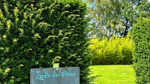 A sign reading "Jardin des Olivier" in a garden setting. - Gîte Les Oliviers – 4 people – 2 bedrooms – 1 bathroom – Indoor pool (Arques)