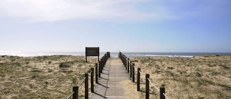 Playa en los alrededores
