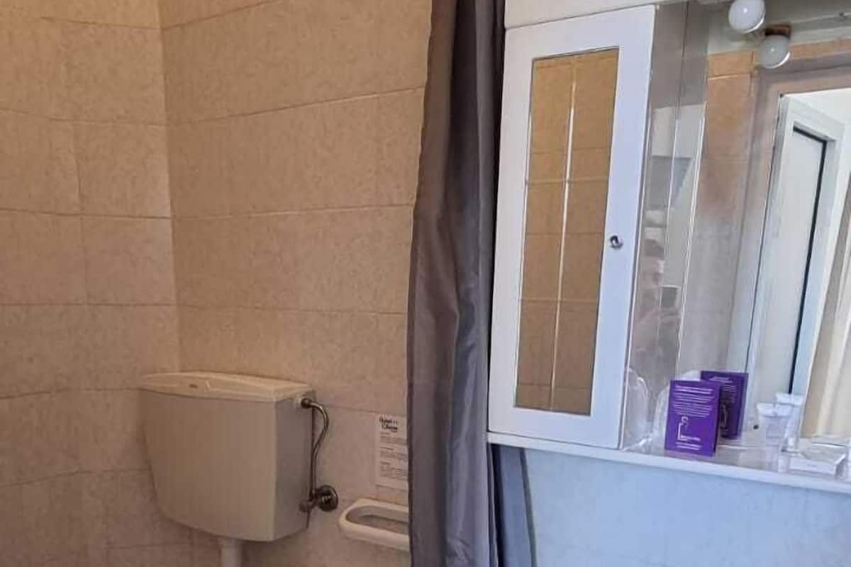 standard double or twin room | bathroom | shower, rainfall showerhead, free toiletries, hair dryer