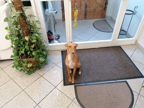 Reception - Hotel Cilene (Viareggio)